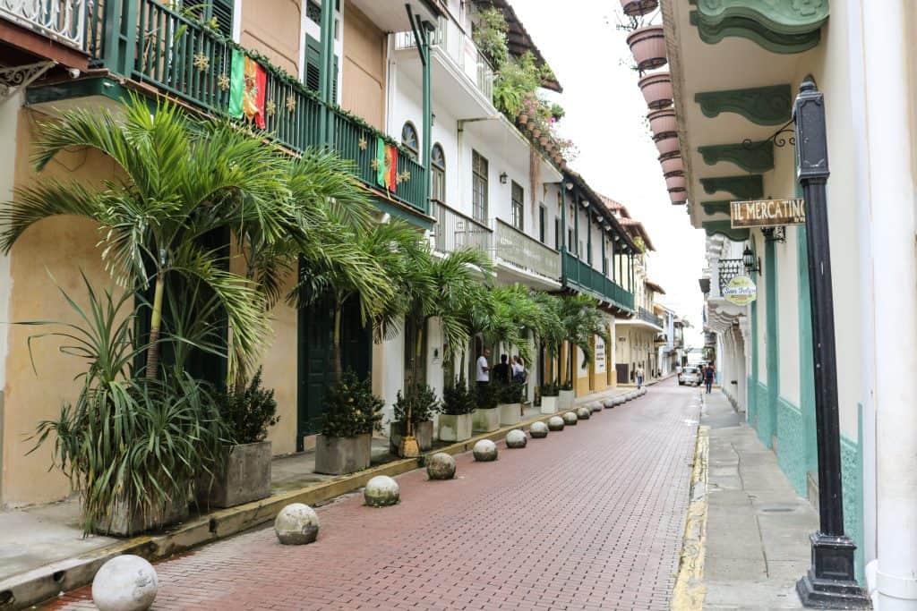 Palm tree lined street of Casco Viejo.