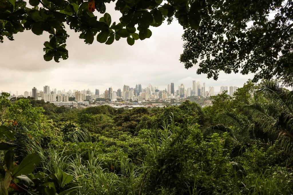 View of Panama City from the top of Metropolitan Park.