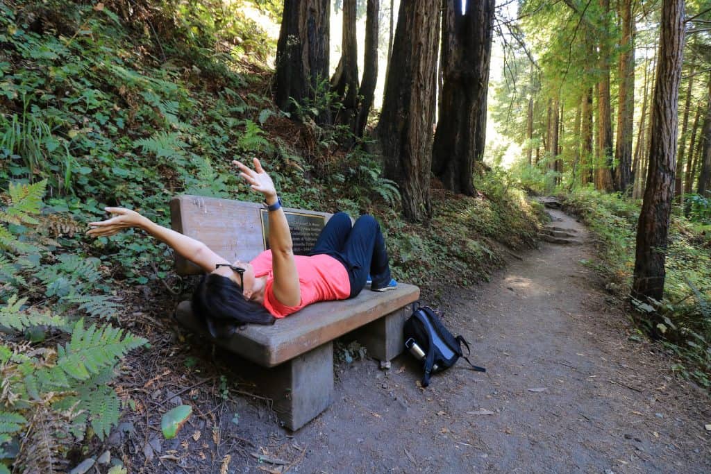 Rest your head at one of the many places to stay in Big Sur!