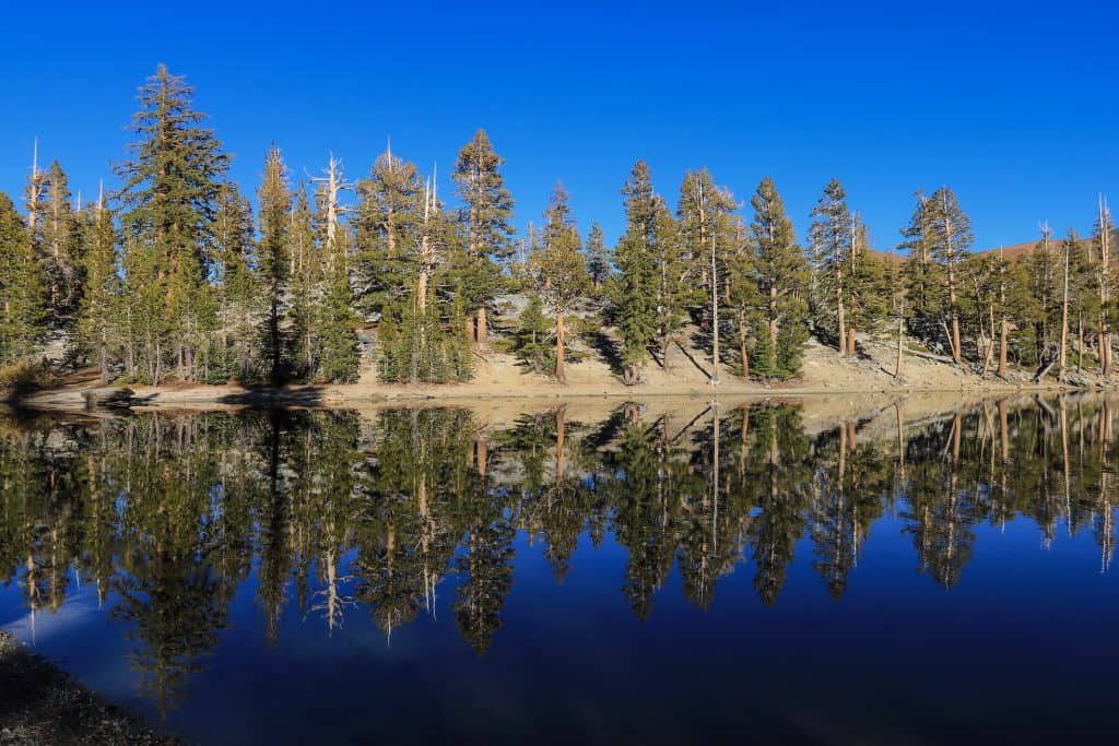 So many things to do in Mammoth Lakes as each lake has a heart-stirring beauty