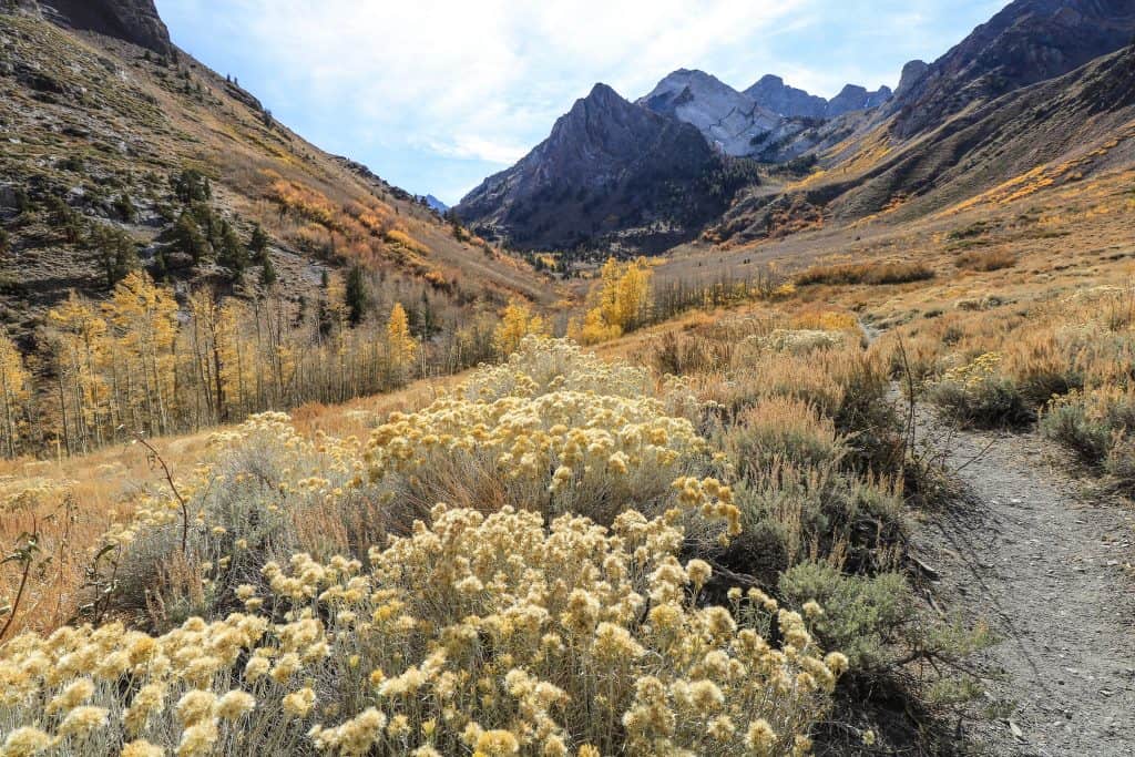 Fall is an exceptionally beautiful time of year to visit the Eastern Sierras...