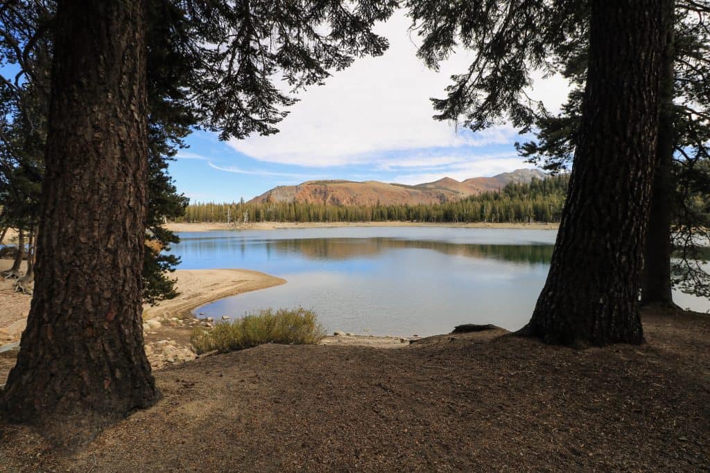Mammoth Lakes has an endless number of hikes!