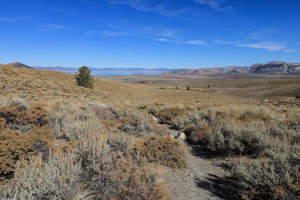 As you hike, stop and turn back to see Mono Lake in distance