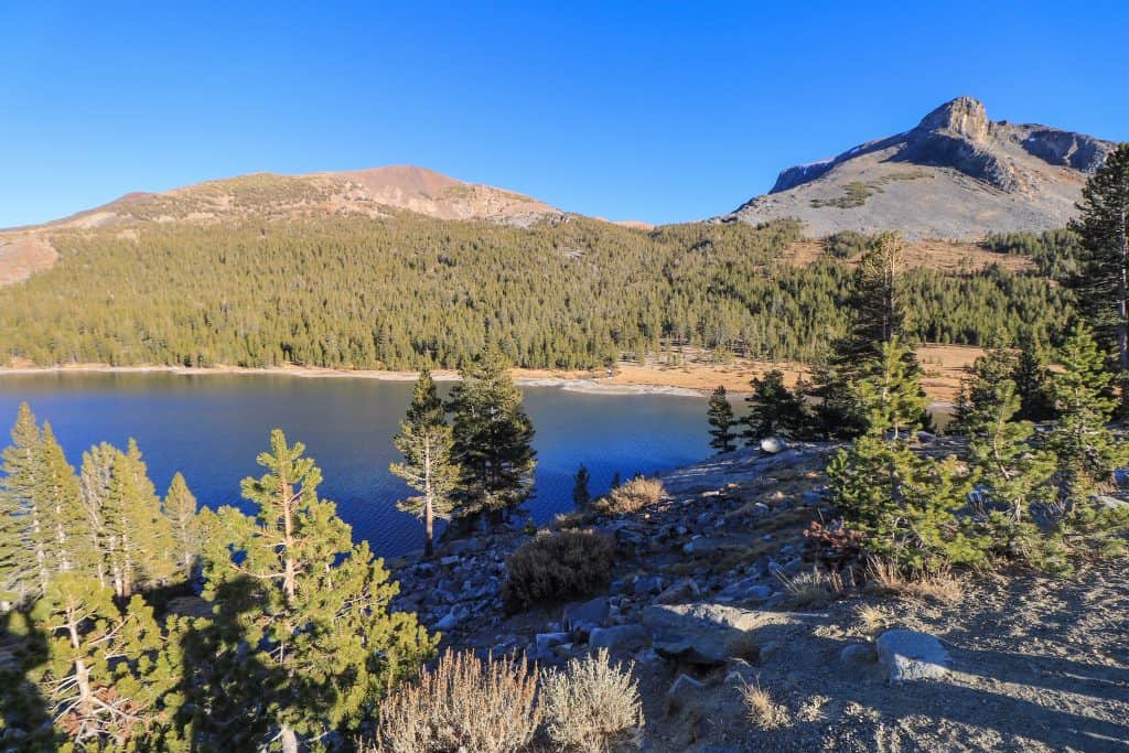 Tioga Lake is an alpine lake where you can fish and camp at