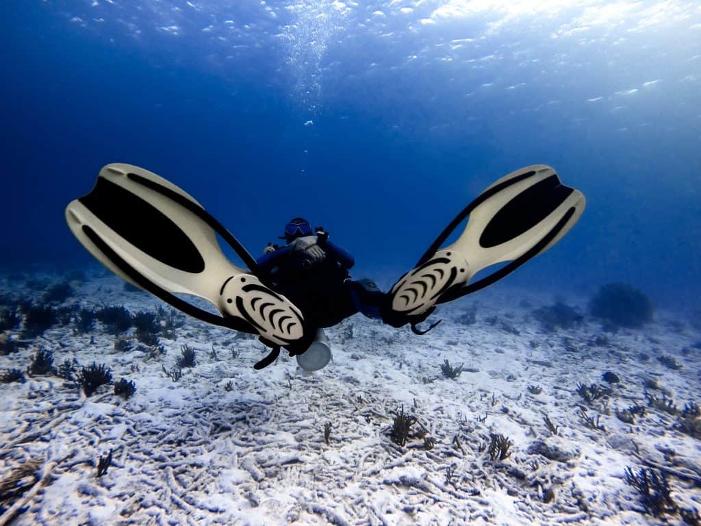 Scuba diving can be very calming and peaceful...