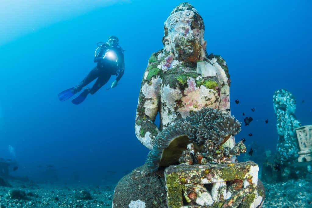 If you haven't already, get your diving certification and enjoy an underwater paradise!