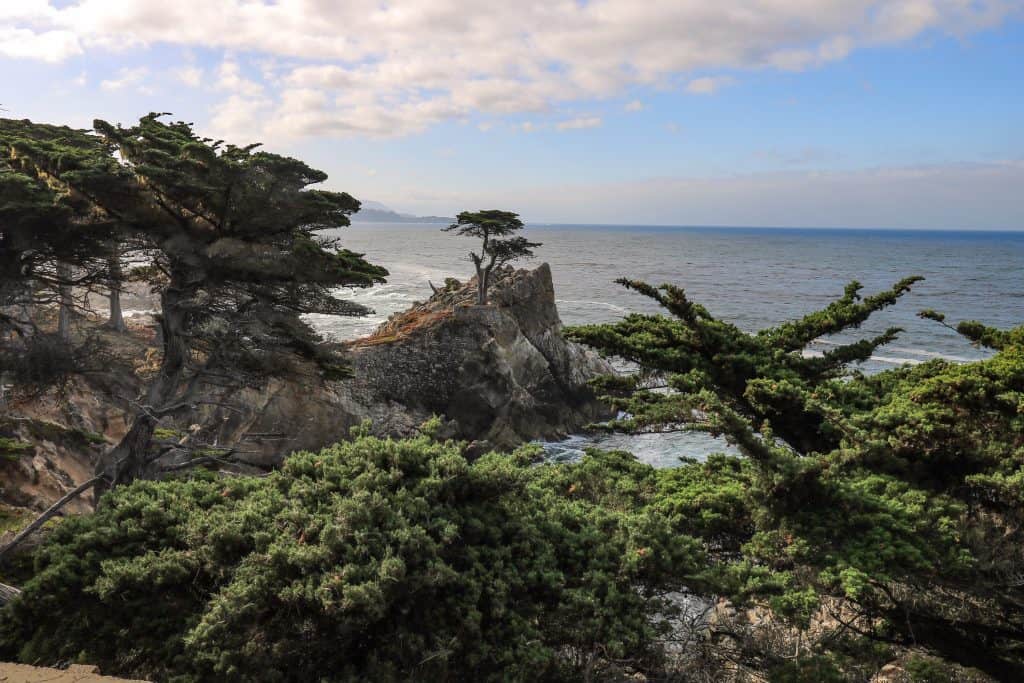The Lone Cypress has withstood a lot over the years...