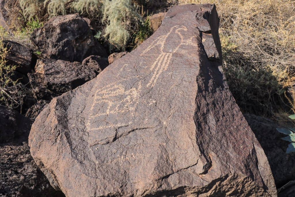 This petroglyph is definitely a bird!