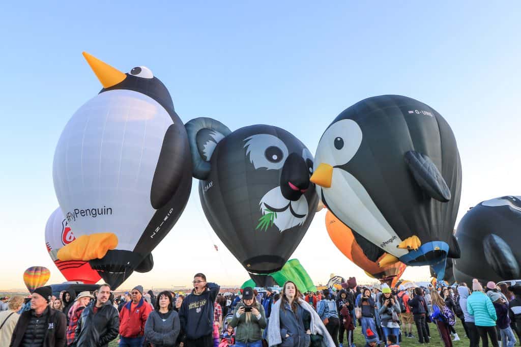 The adorable penguin s and koala shaped balloons