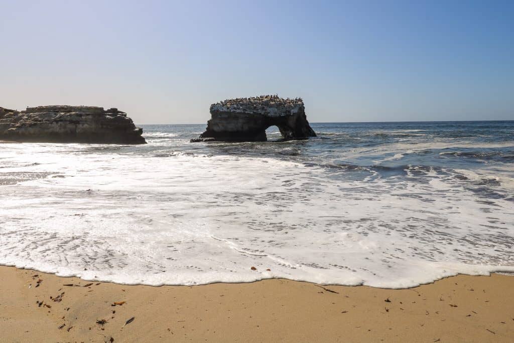 The Natural Bridge or "arch" is a popular hang out for birds