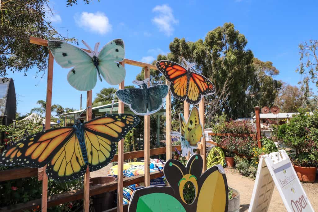 Welcome to Butterfly Farms!