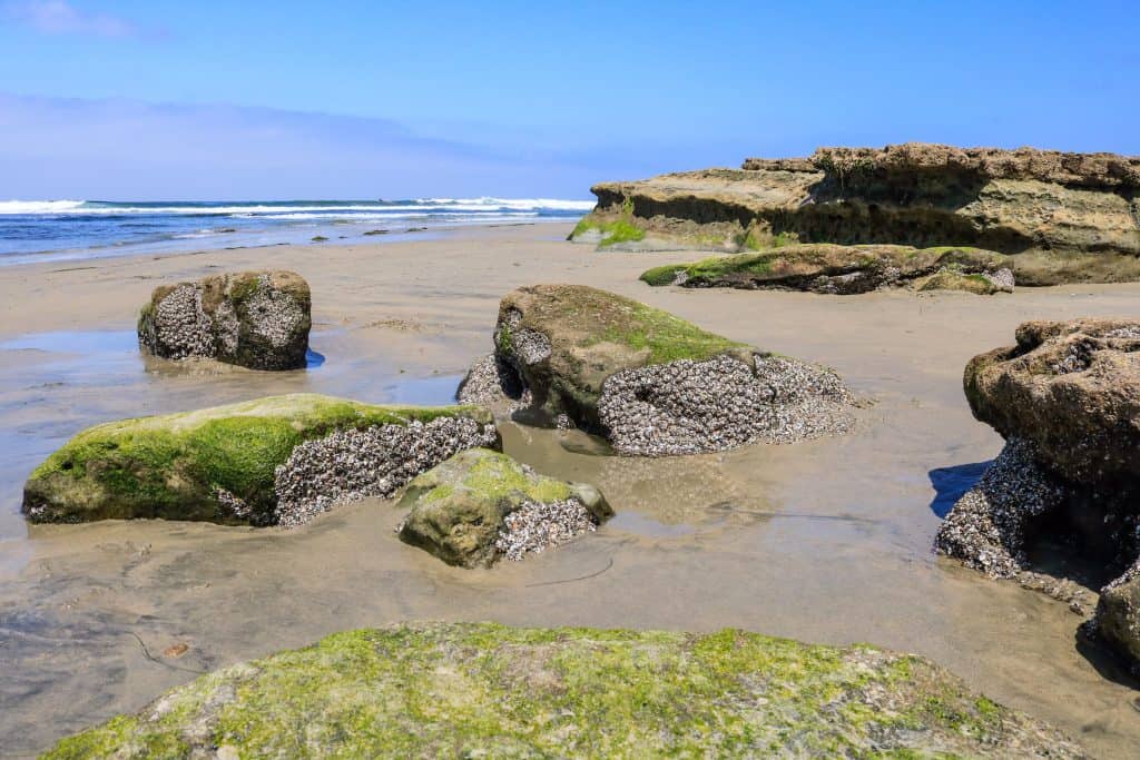 Visit at low tide to see the tide pools and rock formations