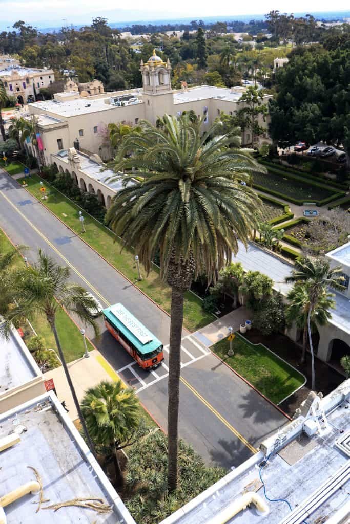 View of Balboa Park from the top of the California Tower.