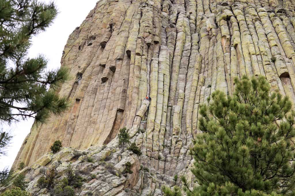 Looking up at the rock columns that make up Devils Tower.