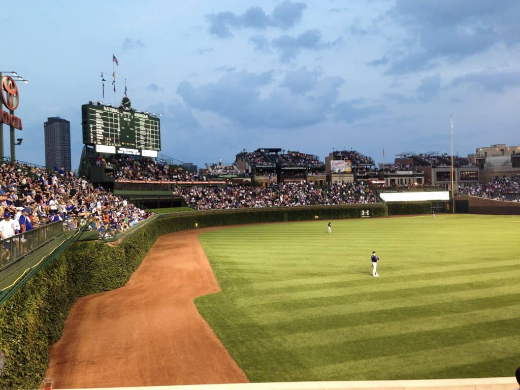 Ivy covered outfield wall at Wrigley Field.