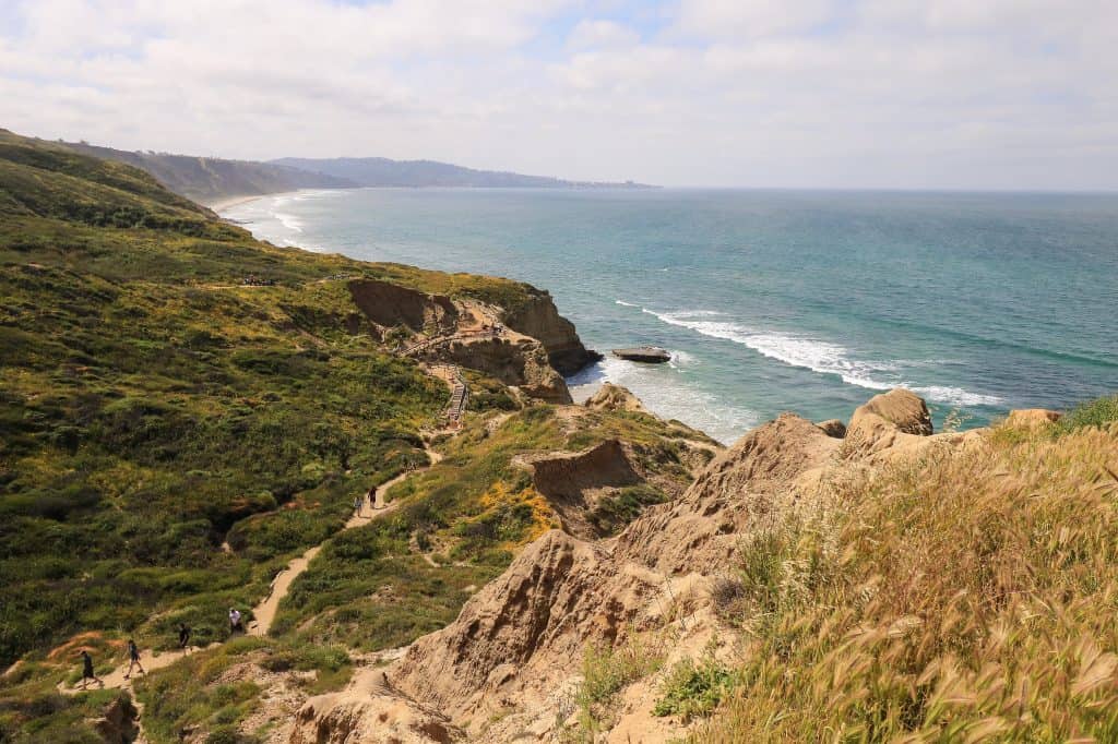Beach Trail at Torrey Pines State Reserve