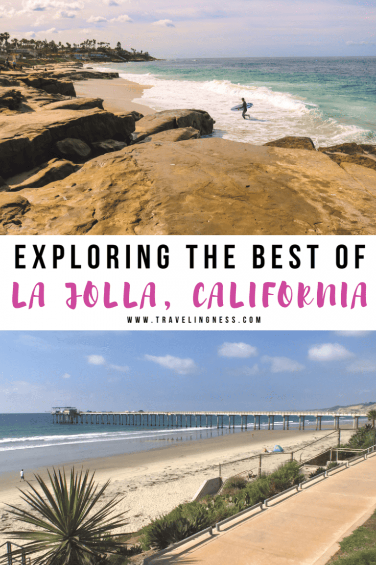 Exploring The Best La Jolla Attractions Traveling Ness