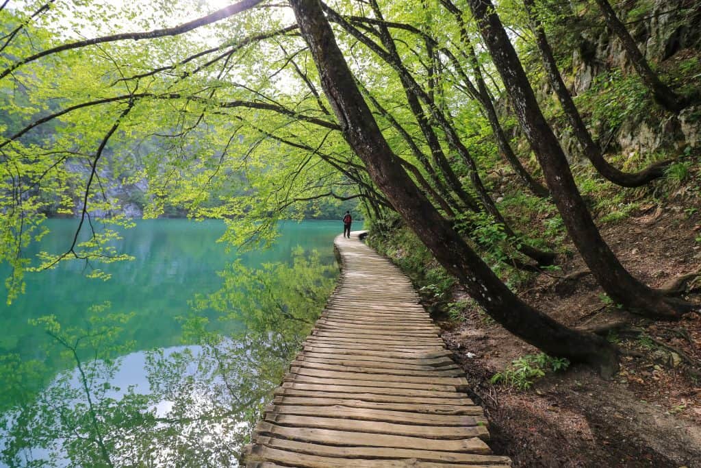Walking on a thin wooden boardwalk with the lake on one side and trees overhanging the path at Plitvice Lakes in Croatia.