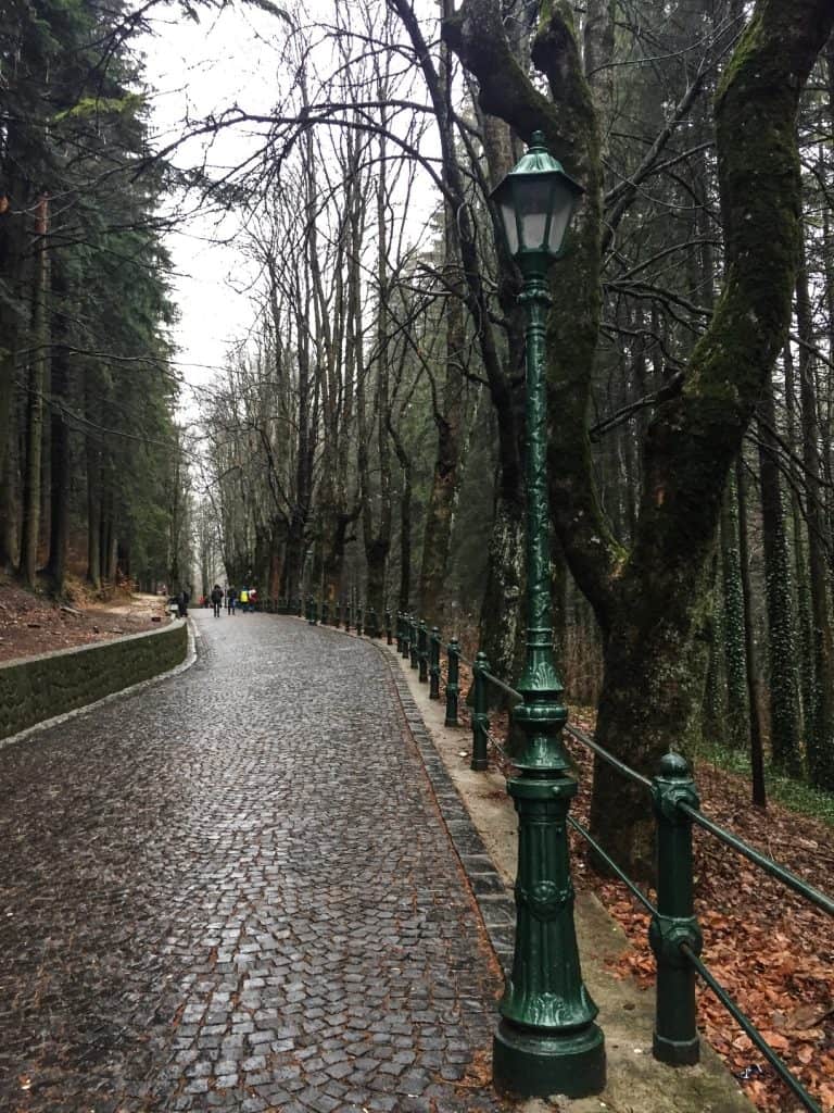 Walking the wooded pathway to Peles Castle