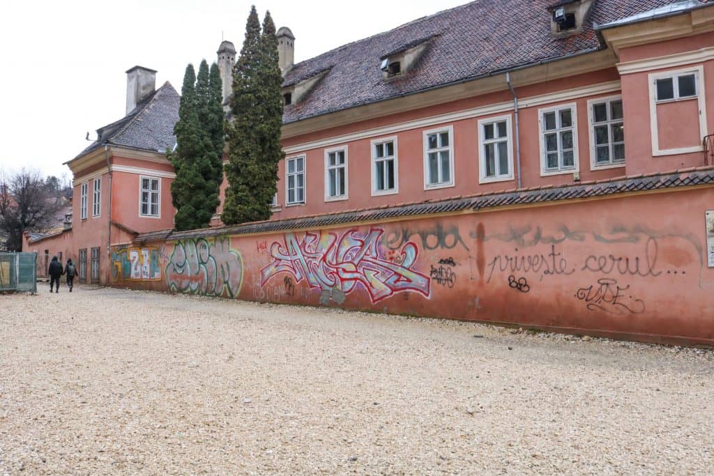 There is great mural art scattered around Brasov