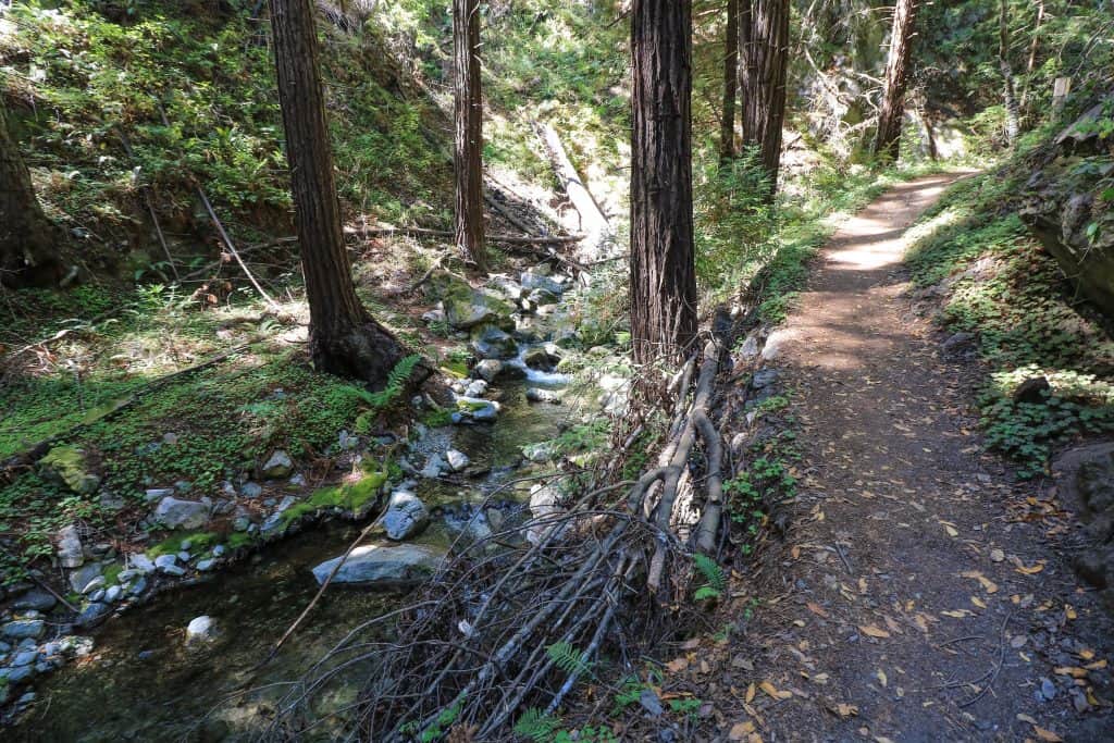 The trail that continues to the old kilns