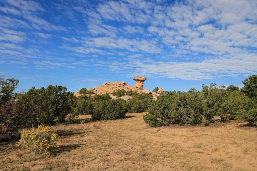 Camel Rock can be seen driving on the highway among short bush like trees just outside of Santa Fe, New Mexico.