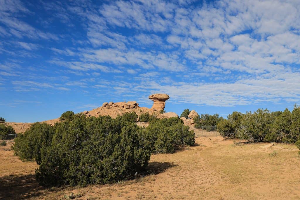This natural rock formation really does look like a camel on a sunny day with fluffy clouds.