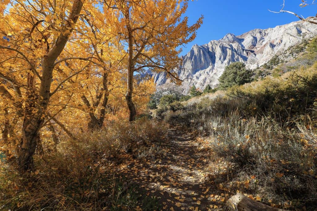 Convict Lake is an excellent place for seeing fall foliage