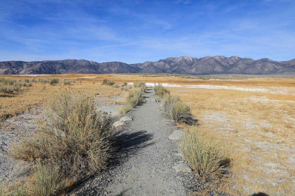 Walking out on a dirt trail in a flat valley enjoying the fun in finding hot springs near Mammoth Lakes with mountains in the distance.