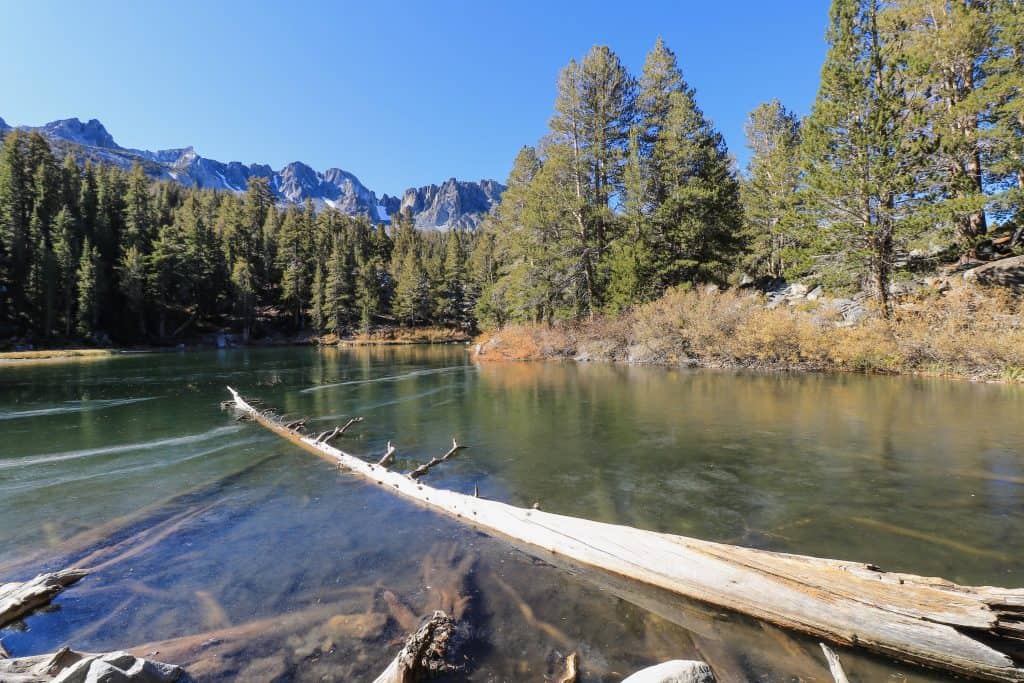 Emerald Lake's water is already beginning to freeze!