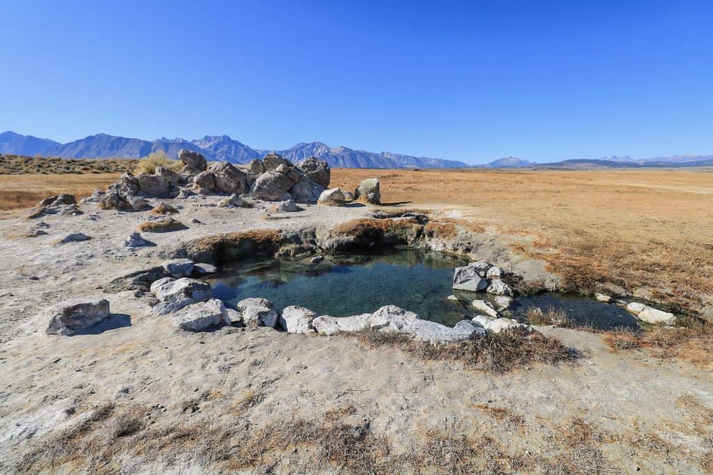 There are a few hot spring pools here at Wild Willy's with the largest one seen here and the most scenic.