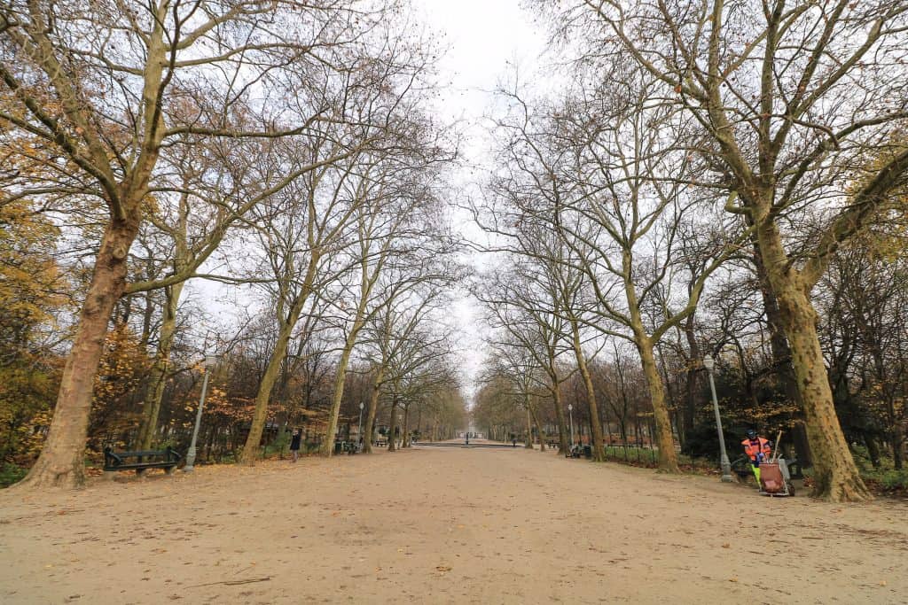 A long tree-lined esplanade through Brussels Park