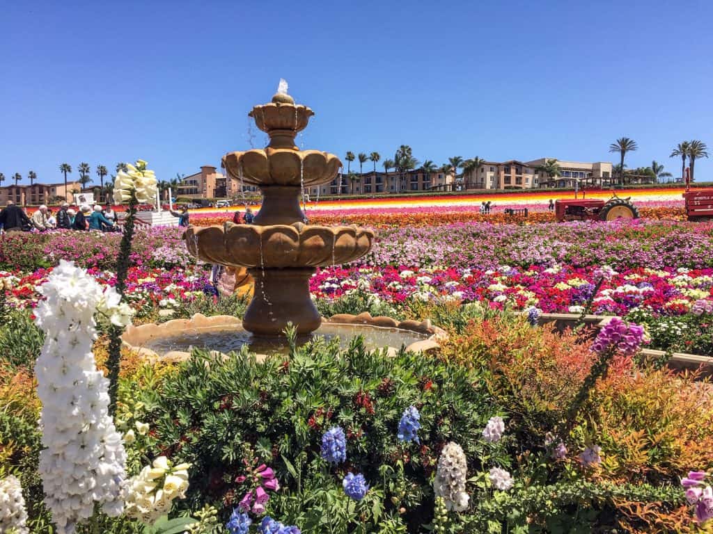 The Artists Garden near the entrance with a broad view of the flower fields, the hotel up on the hill, and a water fountain up close.