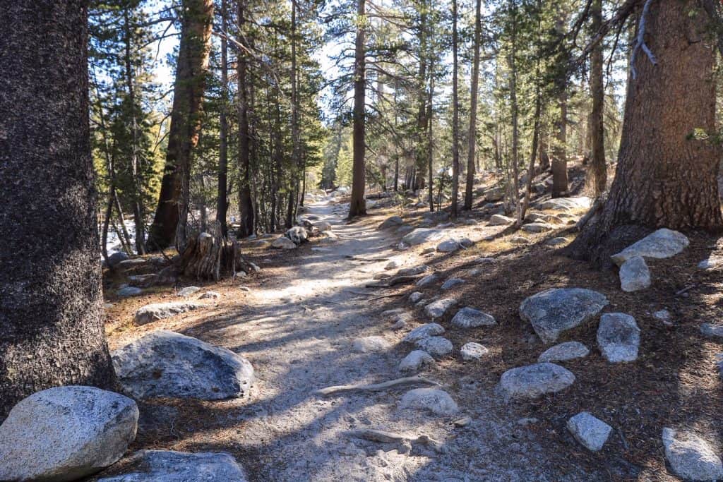 Most of the Tuolumne River Loop trail is a dirt path like this one