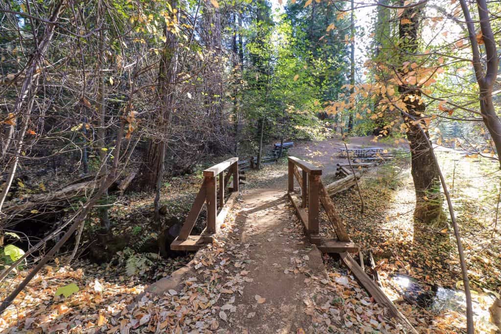 Fall is the ideal time to visit Yosemite...