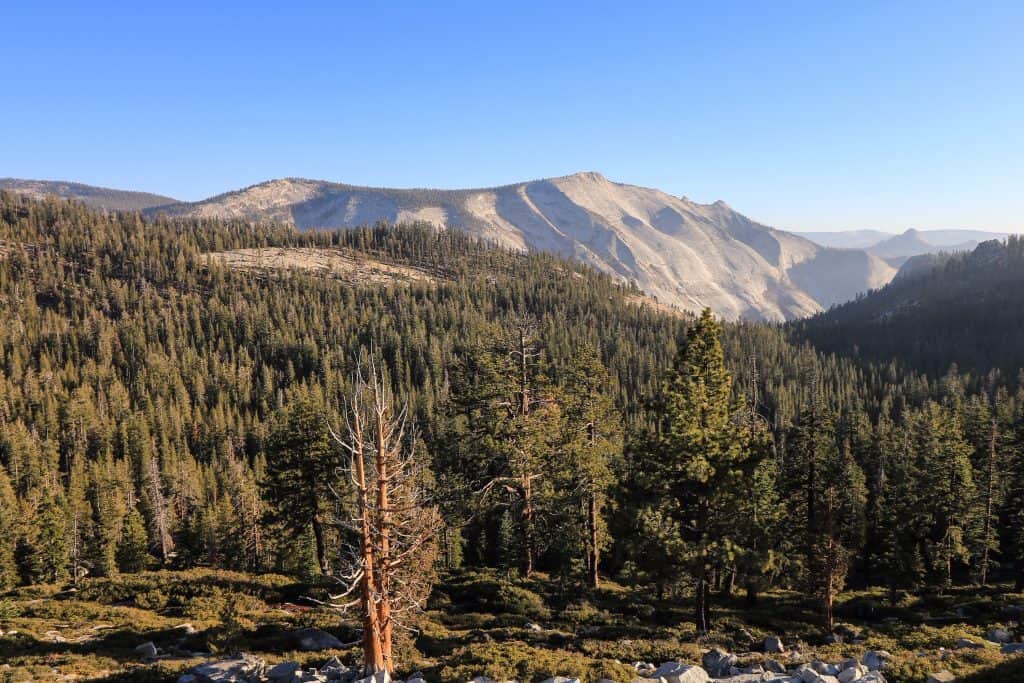 Tioga Pass in Yosemite will take you on the most scenic drive...