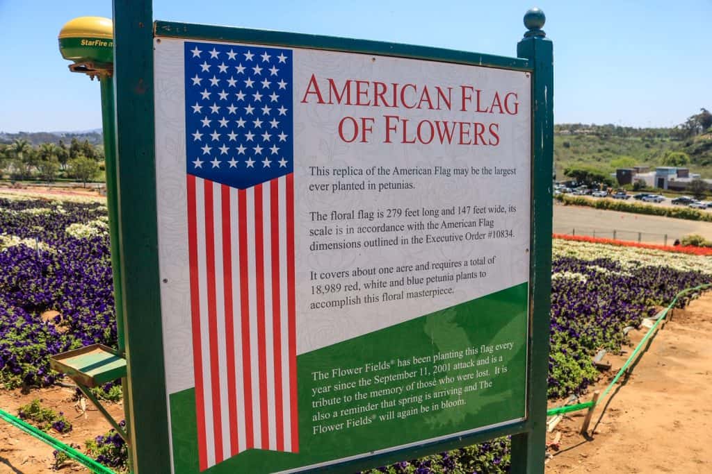 A sign with a little info on the American Flag made out of flowers in Carlsbad.