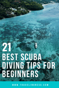 Are you a new scuba diver? Once you are certified, there is so much to learn to feel comfortable on a dive and know what gear to have. Follow this guide for the best scuba diving tips for beginners that will prepare you for your next dive trip! #scubadiving #scuba #scubadivingtips #diving