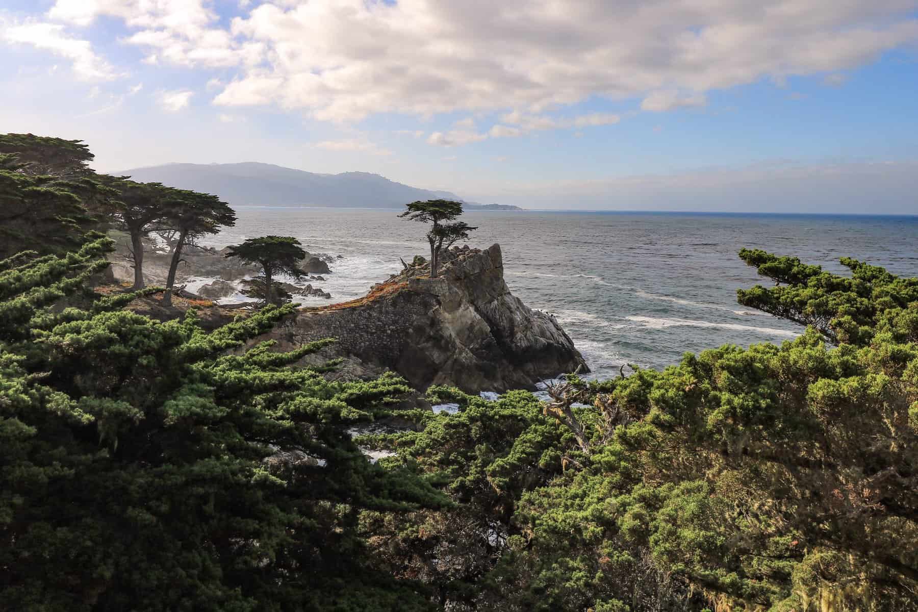 The beautiful and famous Lone Cypress Tree