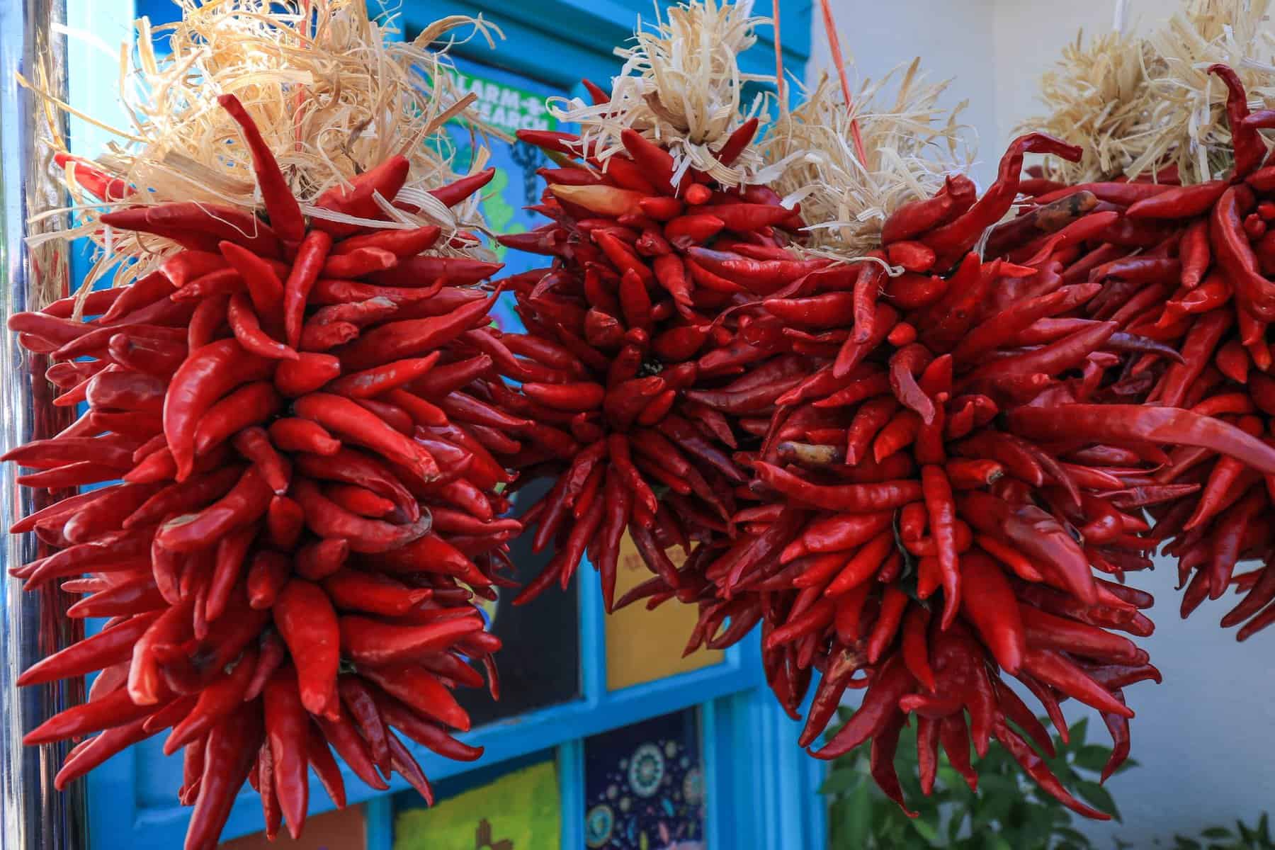 Hatch Chile Peppers are a key ingredient in a lot of New Mexican food
