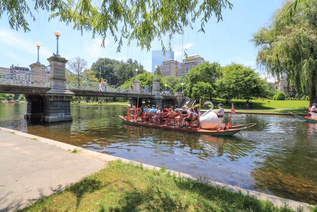 A swan boat tour on the lagoon in the Public Garden about to go under the bridge with the Boston city skyline in distance.