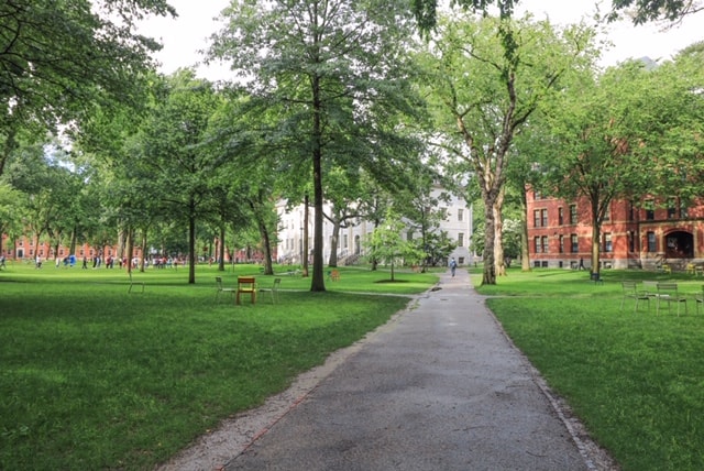 The grassy area of Harvard Yard