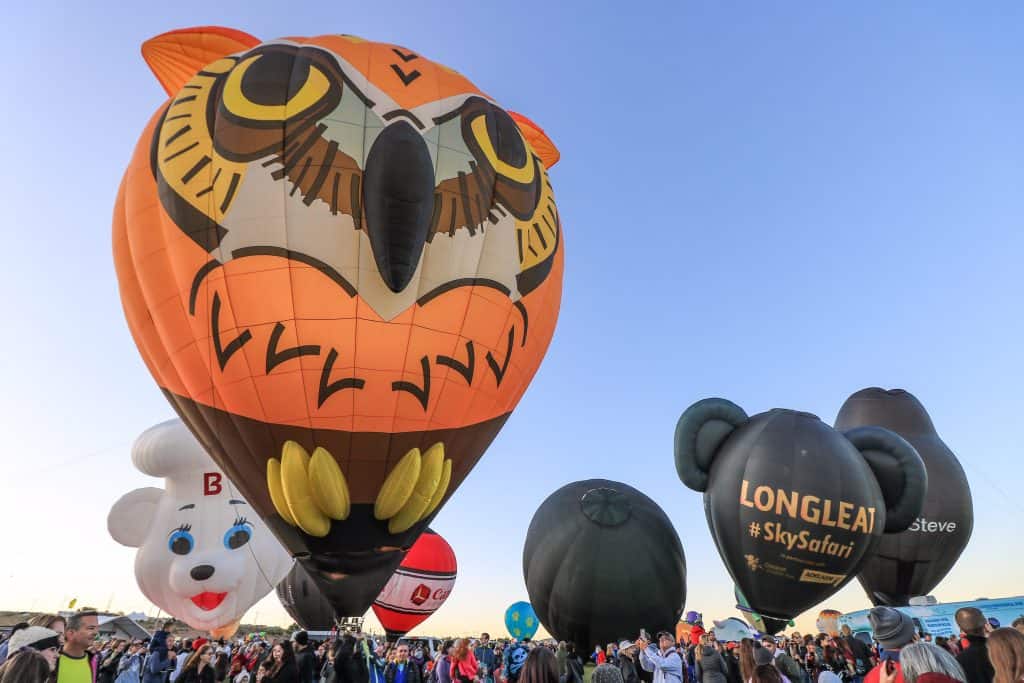 These animal balloons are larger than life!