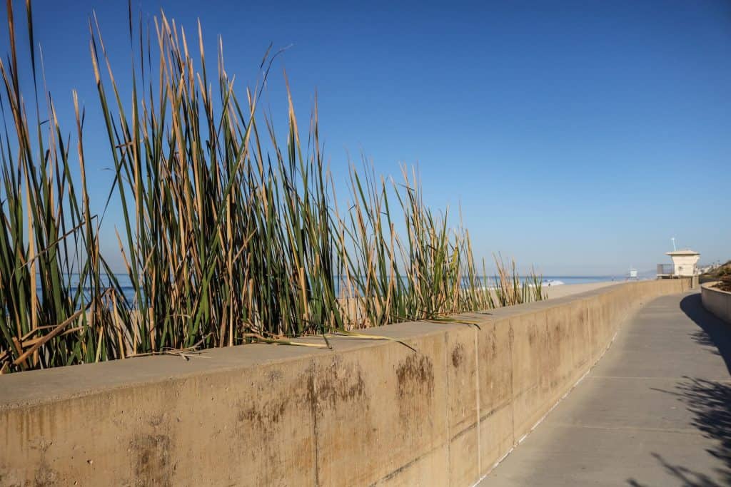 Taking a stroll along the beach wall is the perfect way to relax...
