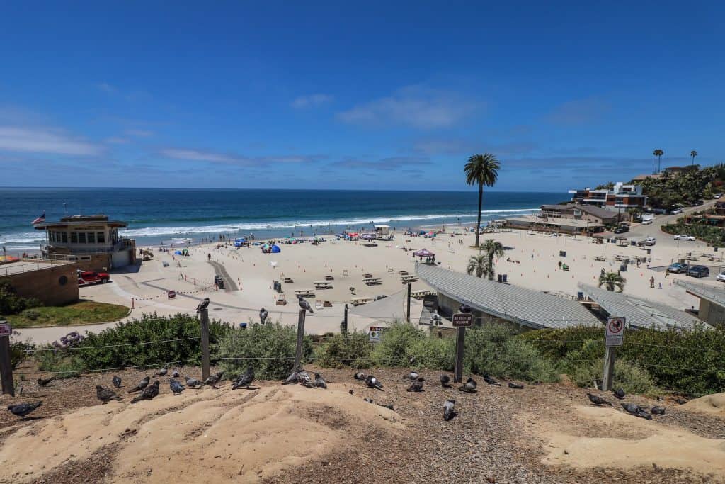 Moonlight Beach is popular with locals, visitors and even the pigeons!