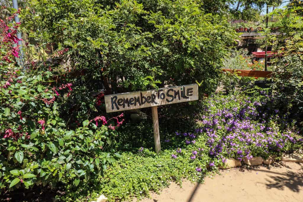 Remember to Smile Sign. You can't help but smile watching butterflies flutter about...