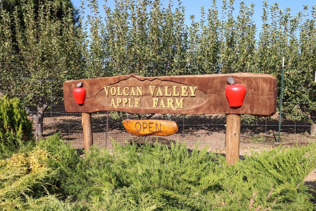 Volcan Apple Farm is the biggest orchard in Julian