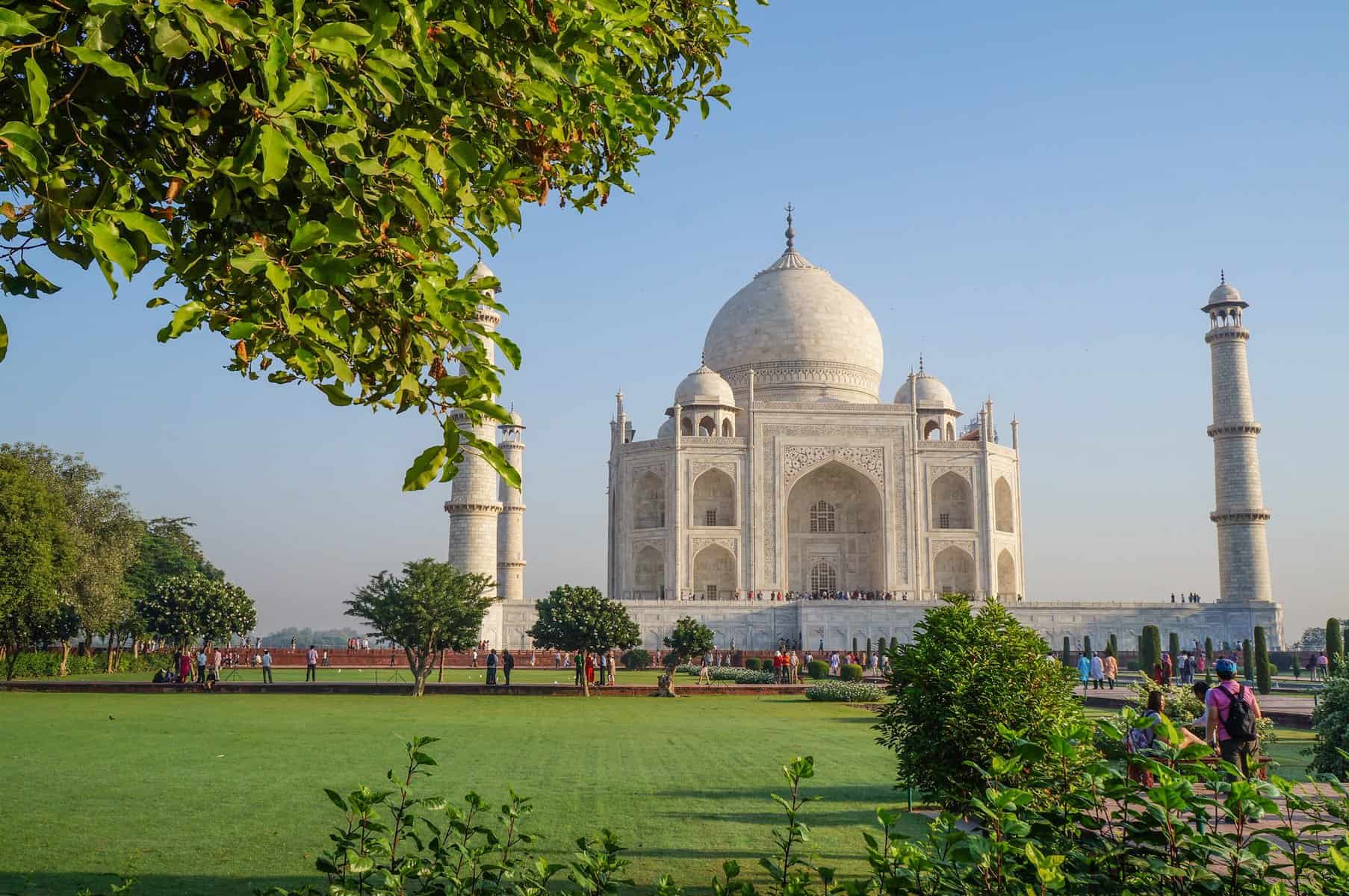 The ivory white Taj Mahal framed with trees and bushes around it