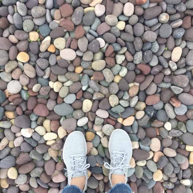 allbirds walking shoes review