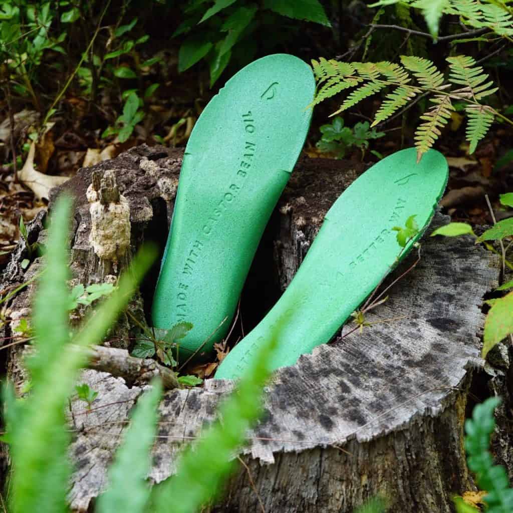 The Allbirds shoes have a castor bean oil insole that are green photographed alone among fern foliage. Photo courtesy of Allbirds
